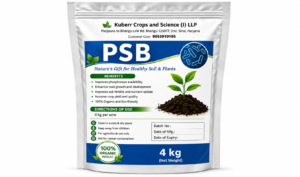 Phosphate Solubilizing Bacteria (PSB) Bio Fertilizer