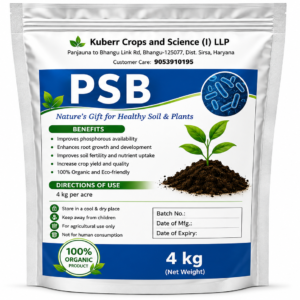 Phosphate Solubilizing Bacteria (PSB) Bio Fertilizer